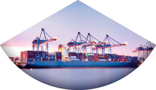 Cargotrust Forwarding